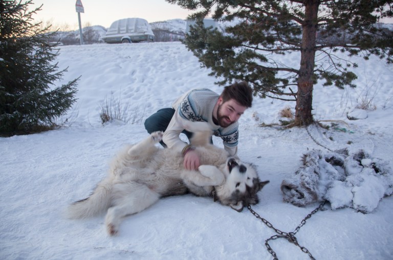 husky nordkapp north cape norway